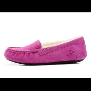 Ugg slippers